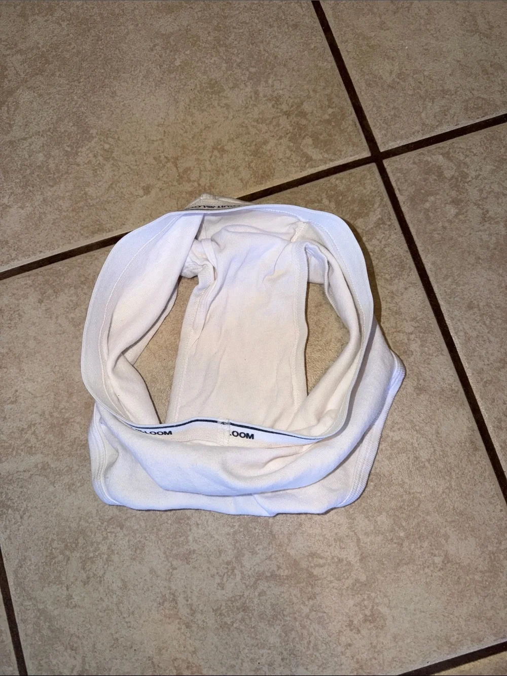 Fruit of the Loom White Men’s Cotton Briefs with Logo Waistband